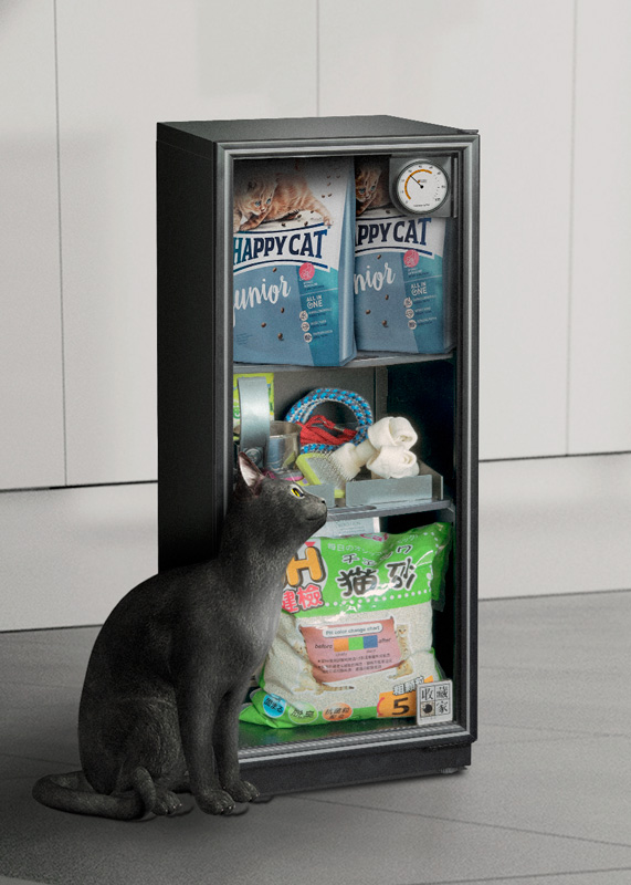 cat food dry box