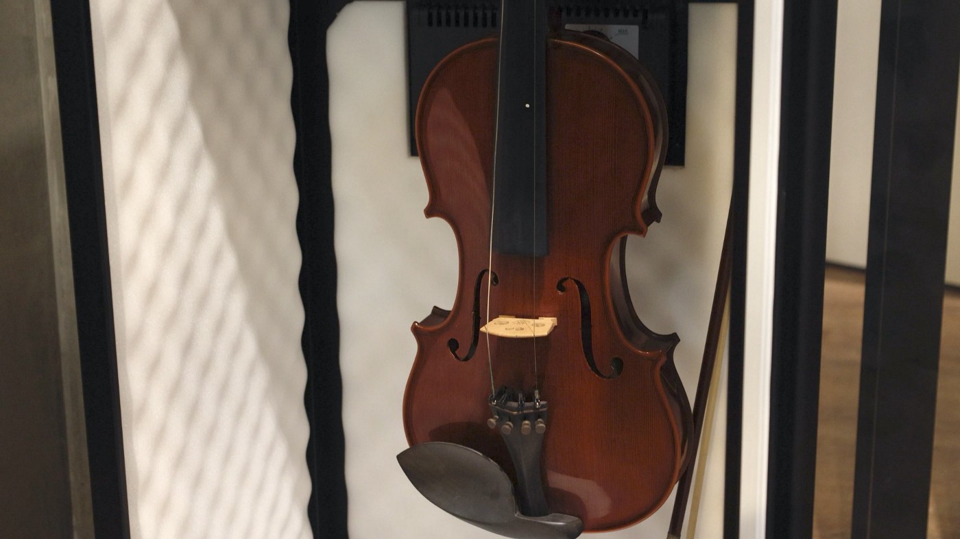 ART-126 中小提琴電子防潮箱
