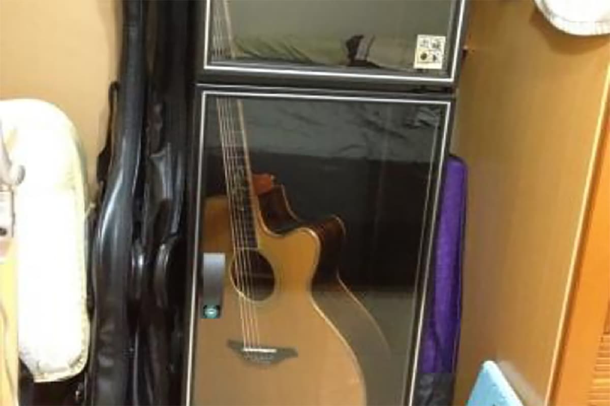 樂器／音樂：吉他櫃專用電子防潮箱