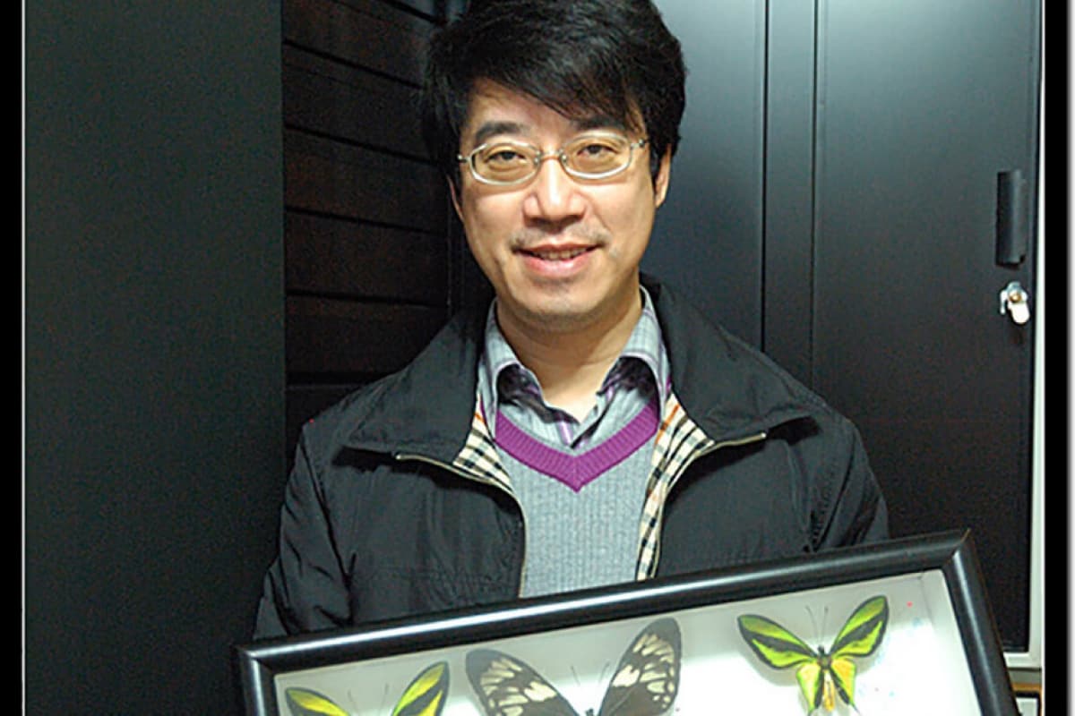 王醫生的蝴蝶標本收藏櫃 防潮櫃